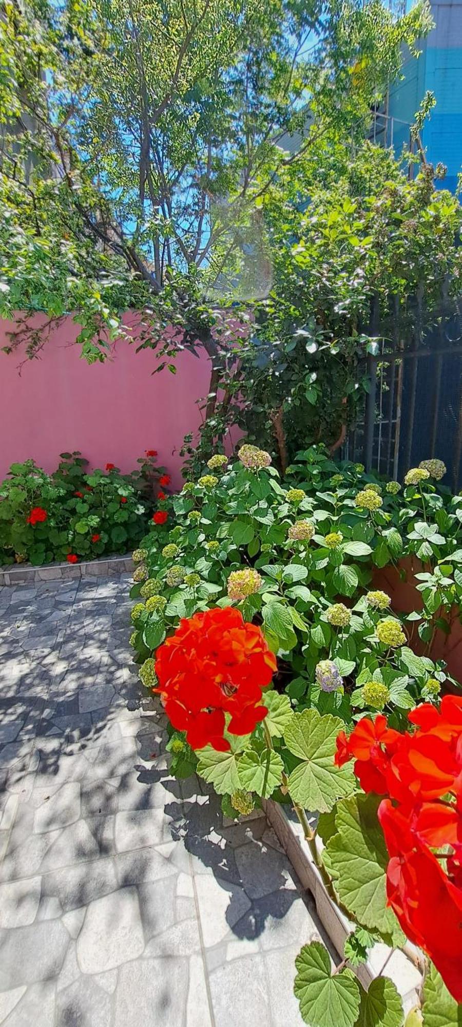 Golden Life Apart Hotel Istanbul Ruang foto